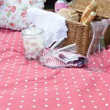 This extra bulk means they usually won't fold as easily as. Extra Large Picnic Blanket Blue Gingham Padded Garden Outdoors Outdoor Tableware Picnicware