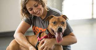 You can help us save lives while practicing social distancing. Adoption Tips L How To Adopt L Adopt A Pet L Aspca
