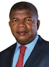 Image result for Chamaeclitandra henriquesiana