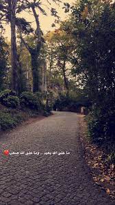 pin on قمر