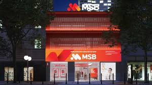 It is essentially a banking service. Msb Bank On Behance