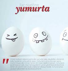 Saglik Saglik Yumurta Yerler