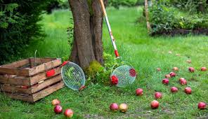 De maaibreedte bedraagt 46cm en met 22 kilogram is het een redelijk lichtgewicht maaier in zijn klasse. Obstsammler So Macht Obst Ernten Spass Wolf Garten De