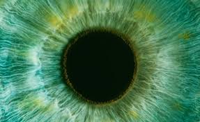 Eye Test Eye Health Book An Eye Test Vision Express
