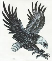 Black And White Eagle Tattoo Tattoo Finka Eagle Eagle Tattoos Eagle Drawing Top Tattoos