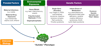 But that's not necessarily the case. Frontiers Untargeted Metabolomics For Autism Spectrum Disorders Current Status And Future Directions Psychiatry