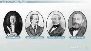 We did not find results for: Major Contributors To Cell Theory Video Lesson Transcript Study Com