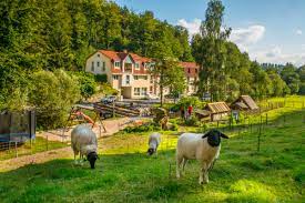 Hotel Waldmuhle Thuringia At Hrs With Free Services