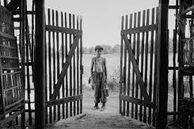 Is gray paint going out of style 2019 wanita panggilan gadis. Sinopsis The Painted Bird Hitam Putih Kehidupan Di Tengah Peperangan