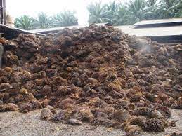 Efb fibres were used in the form of mats where it was 29. Oil Palm Empty Fruit Bunch Efb Kernel Shell Home Facebook