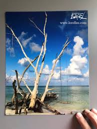 Discover how to live it your way at zon beachside. Beachside Views By Lorel Lee Photography Florida Beach Ocean Tropical View