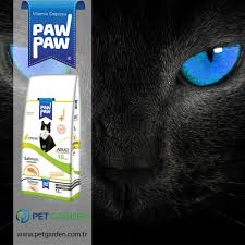 Pawpaw Kisirlastirilmis Kedi Mamasi Somonlu Saglikli Deri Ve Parlak Tuyler Balik Yaginin Icerdigi Omega 3 Ve Tavuk Yaginin Icerdigi Ome Balik Yagi Kedi Somon