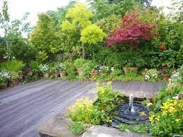 pearl house roman way islington roof garden arbres pour petit jardin jardins sur les toits amenagement jardin