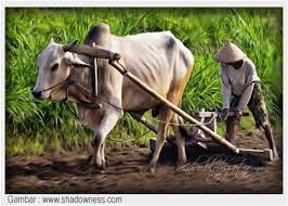 Hubungan manusia dengan alam semesta, bukan merupakan hubungan antara penakhluk dan yang ditakhluk atau hubungan hamba dan tuan, melainkan hubungan partner dalam ketundukan kepada allah. Pertanian Mengajarkan Hubungan Yang Seinbang Antara Manusia Dan Alam Manakala Manusia Mampu Bijaksana Dalam Mengolah Alam Alam Pun Memiliki Kebijaksana Manusia