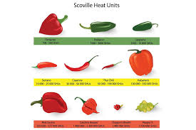 (aka tam mild jalapeno 1, tam jalapeno 1, tam mild 1 chile). Everything You Need To Know About Cooking With Chilli Lovefood Com