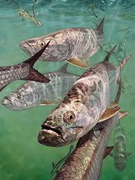Tarpon School Art Don Ray Marine Fishing Artist Fish Art Fish Painting Marine Life Art