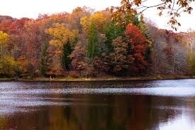 Fall In Love With Fall In Brown County Brown County Indiana