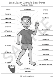 Amazingly, spanish body parts come up in conversation in ways you may have never imagined. 34 Label The Body Parts In Spanish Labels Database 2020