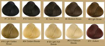 Hair Color Chart Qlassyhairextensions Chi Hair Color