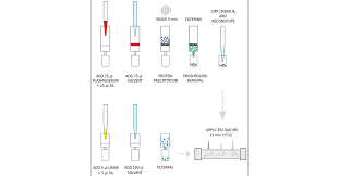 Metabolomic Workflow For The Accurate And High Throughput Exploration Of The Pathways Of Tryptophan Tyrosine Phenylalanine And Branched Chain Amino Acids In Human Biofluids Journal Of Proteome Research