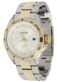 Pin On Fossil