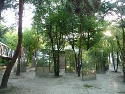 Le Surprenant Jardin Des Miroirs Du Parc De La Villette Paris 19e Paris 19e Buttes Chaumont Paris Garden Plants