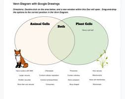 The significant differences between plant and animal cells are also shown and the diagrams are followed by more in depth. Plant Vs Animal Cell Cloze Venn Diagram In Google Docs Remote Learning