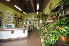Top free images & vectors for forest of flowers london ontario in png, vector, file, black and white, logo, clipart, cartoon and transparent. Forest Of Flowers 13 Photos Florists 609 Fanshawe Park Rd W London On Phone Number Yelp