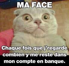 Résultat de recherche d'images pour "animaux marrant"