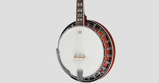 How To Choose A Banjo The Hub