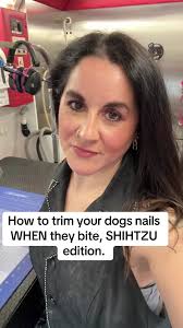 How to Trim Your Dog's Nails when they Bite