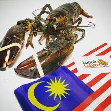 Bacaan sujud syukur adalah salah satu perwujudan rasa syukur kepada alkah. Lubuk Lobster Puji Dan Syukur Pada Ilahi Anugerahnya Tiada Terhingga Kedamaian Kemakmuran Malaysiaku Bahagia Dengan Tekad Untuk Berjaya Berbakti Pada Nusa Dan Bangsa Kami Junjung Cita Cita Luhur Perpaduan Seluruh Negeri