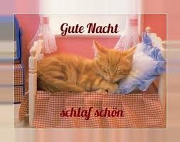 Happinessapps tarafından geliştirilen gute nacht bilder kostenlos für whatsapp 2019 android uygulaması eğlence kategorisi altında listelenmiştir. Download Gute Nacht Bilder Und Spruche Fur Whatsapp On Pc Mac With Appkiwi Apk Downloader