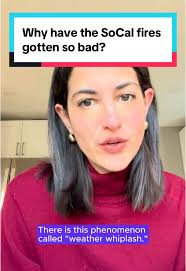 To understand how these fires reached historic size, you have to understand  "weather whiplash." 'Imperfect Paradise' host Antonia Cereijido is  answering some of the most frequently asked questions our ...