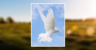 Evelyn Harman Tilson Hubble Obituary December 12, 2018