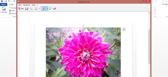 Use our resizer tool to change the size of your photo, image or picture in few clicks. Ein Word Dokument Als Jpg Speichern Wir Zeigen Wie Es Geht Tonerpartner De