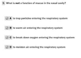 The nasal cavity is an anatomical formation, which originates in the respiratory system. What Is Not A Function Of Mucus In The Nasal Cavity Brainly In