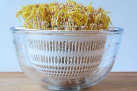 pin on beanpanda cooking diary 肥丁手工坊