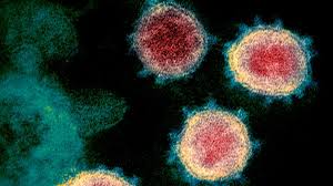 Deoxyribonucleic acid, or dna, is a molecule that contains the instructions an organism needs to develop, live and reproduce. Uk Biobank Dna To Unlock Coronavirus Secrets Bbc News