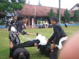 Jurus pencak silat psht meliputi 36 jurus dimulai dari jurus 1 sampai dengan jurus 36. Psht Persaudaraan Setia Hati Terate Sman 1 Ngunut Community