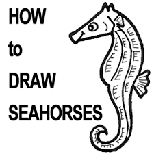 Check spelling or type a new query. How To Draw Seahorses With Step By Step Cartoon Drawing Lesson How To Draw Step By Step Drawing Tutorials