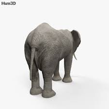 3d Model Of African Elephant Hd In 2020 African Elephant Elephant 3d Model