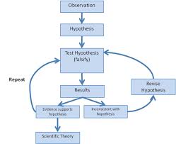 Scientific Method Flow Chart Scientific Method Biological