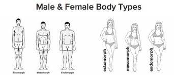 Opt for bottoms in bright colors and loud prints to try and distract from a flatter tush. Character Resources Physical Features Body Types Shapes Men And Women Showing 1 5 Of 5