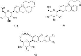 Sodium-Glucose Cotransporter Inhibitors as Antidiabetic Drugs: Current  Development and Future Perspectives
