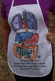 Anatomy Aprons Students Paint And Label Http Www Sportsweargraphics Com Sciencewear Htm Human Body Anatomy Teaching Body Systems Human Body Projects