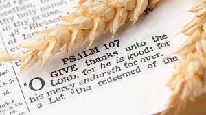 100+ thanksgiving bible verses that will make you thankful. Top 10 Thanksgiving Bible Verses Scriputres On Gratitude Thankfulness