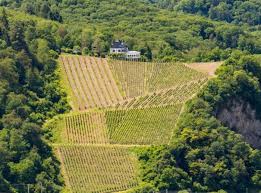 Alte ak haus waldfrieden in alf an der mosel (5584) sehr gut erhaltene karte 1916 gelaufen g. Stein A Focus On Alf And St Aldegund Vomboden