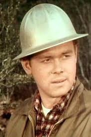 Reparto de More Than Murder (película 1984). Dirigida por Gary Nelson