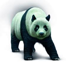 Jhi Spirit Animals Spirit Animals Book Spirit Animals Series Spirit Animal